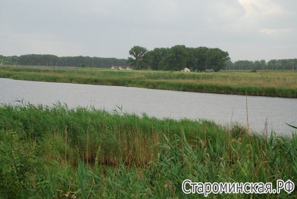 Река Сосыка (приток Еи), на левом берегу этой реки расположена станица Староминская